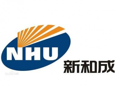 新和成